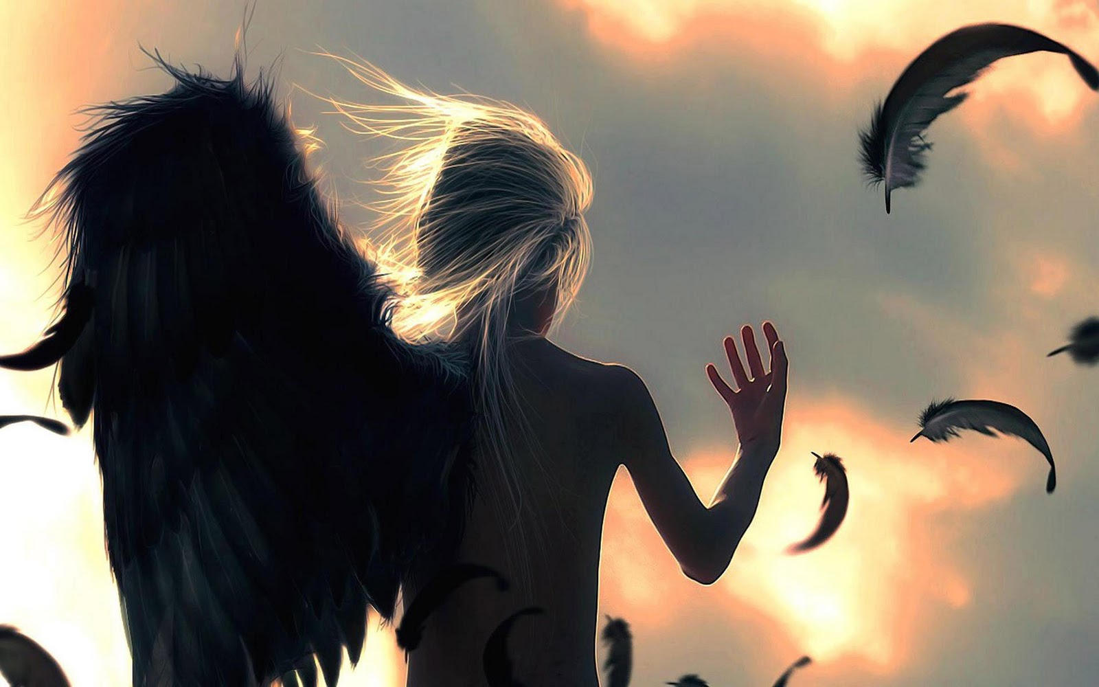 Best Desktop HD Wallpaper - Angel Photo Wallpapers