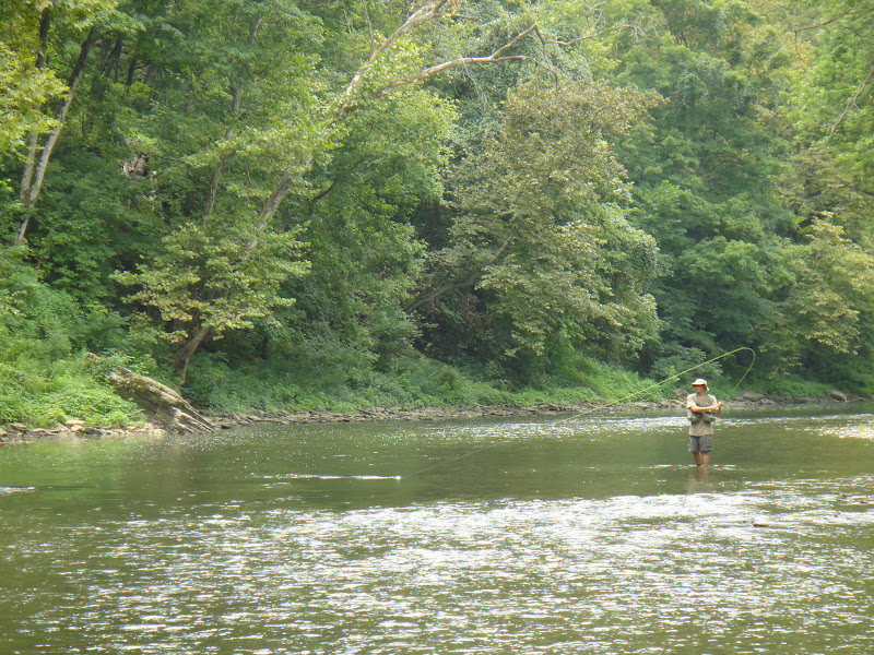 D&H Elkhorn fishing report