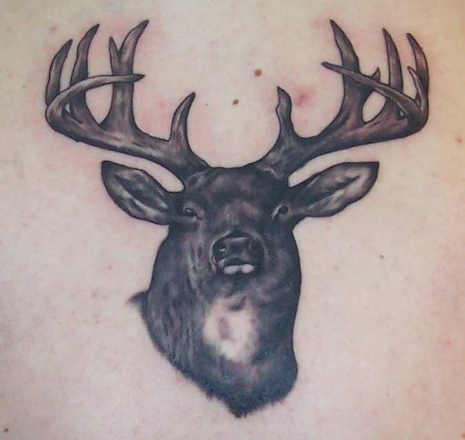 wild tattoos deer tattoo pics wild tattoos deer tattoo pics