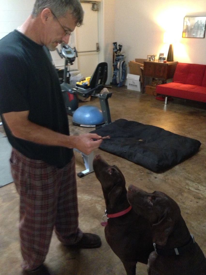Dog Tearing After Starting Raw Food Dog Tearing After Starting Raw Food