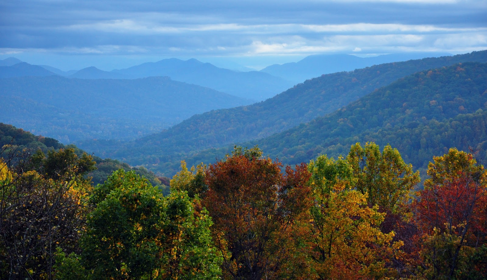 Asheville Named Best Place to Start A Fall Foliage Tour
