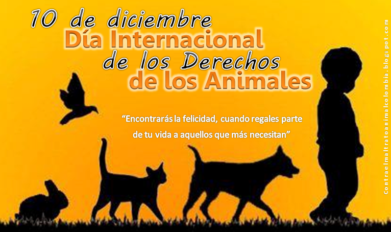 Unión Por Los Peludetes: 10/12/15: Día Internacional de los Derechos de los  Animales