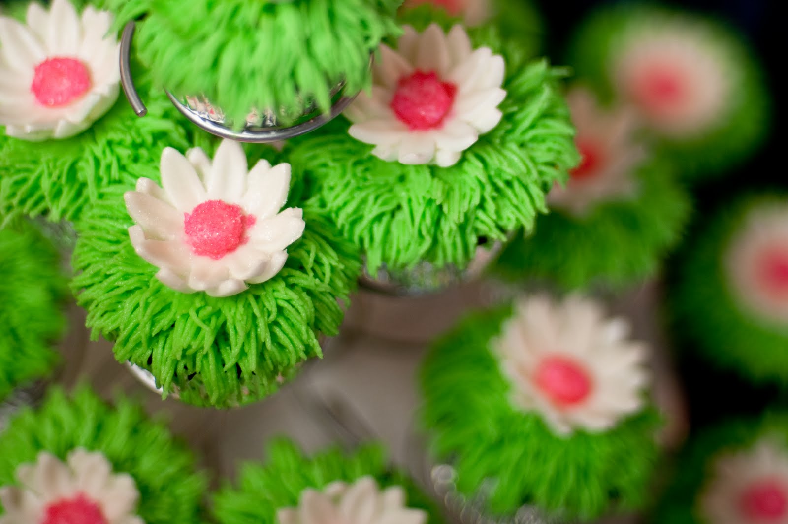 Here Are Two Dozen Chocolate Cupcakes With Green Almond Buttercream Icing And Fondant Daisies Made For Tabithas 3 Year Old Birthday Party