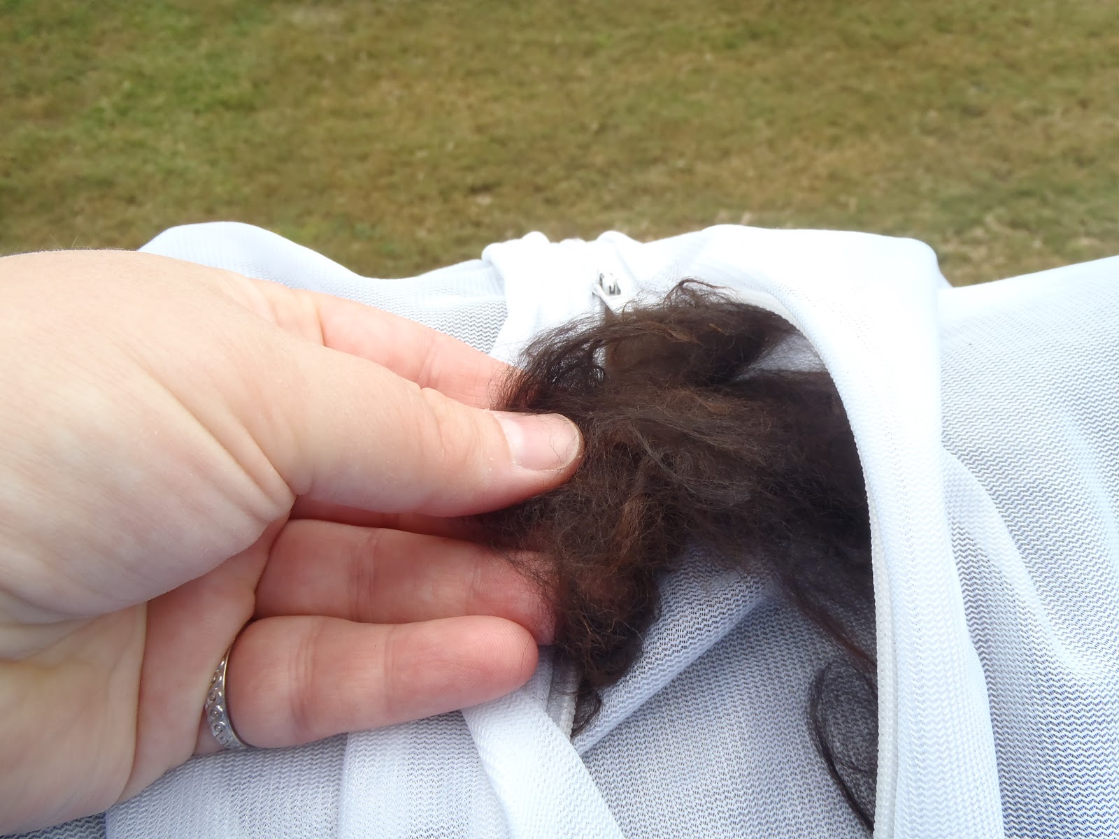 Becky's Blog lots of fun shtuff What to Do with Raw Alpaca Fleece