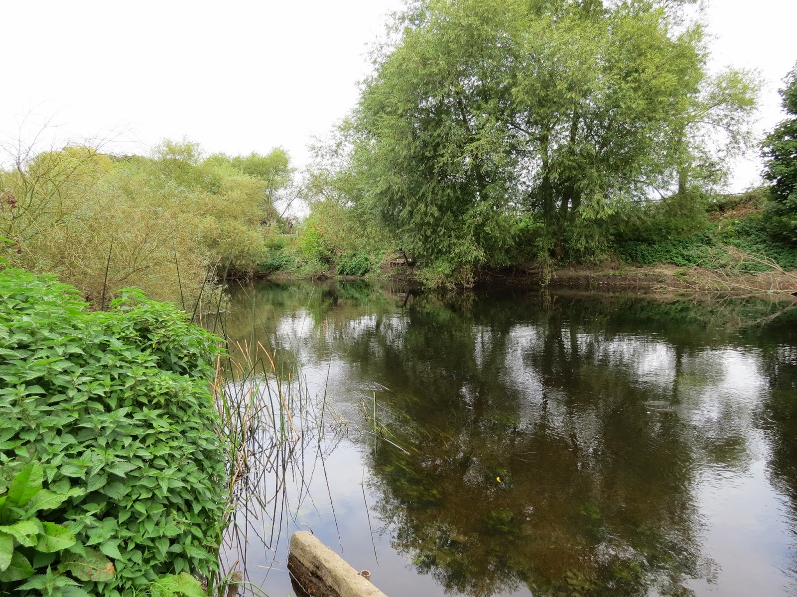 river soar fishing barbel