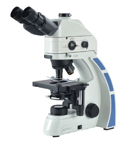 Fein Optic RB30 laboratory biological trinocular microscope.