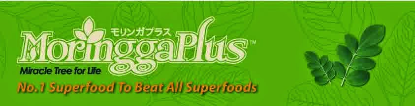 MoringgaPlus | Introducer: cilacap001