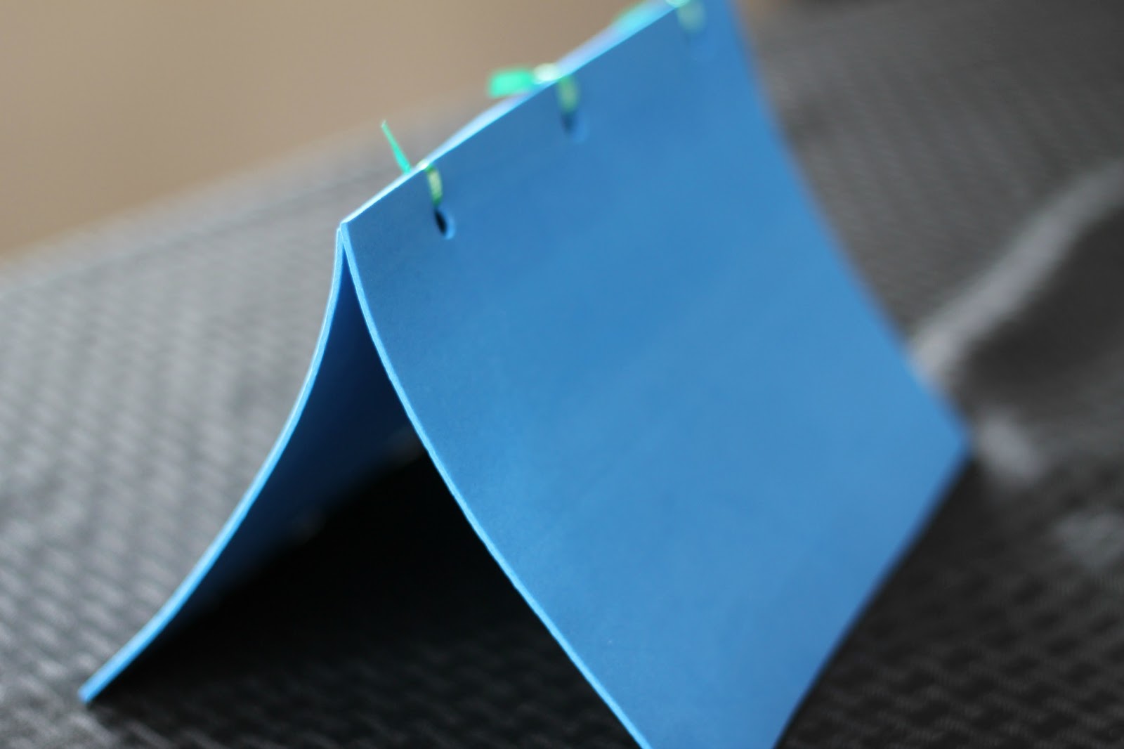 Make Your Own Stuffed Animal House and Carrier Reading Confetti