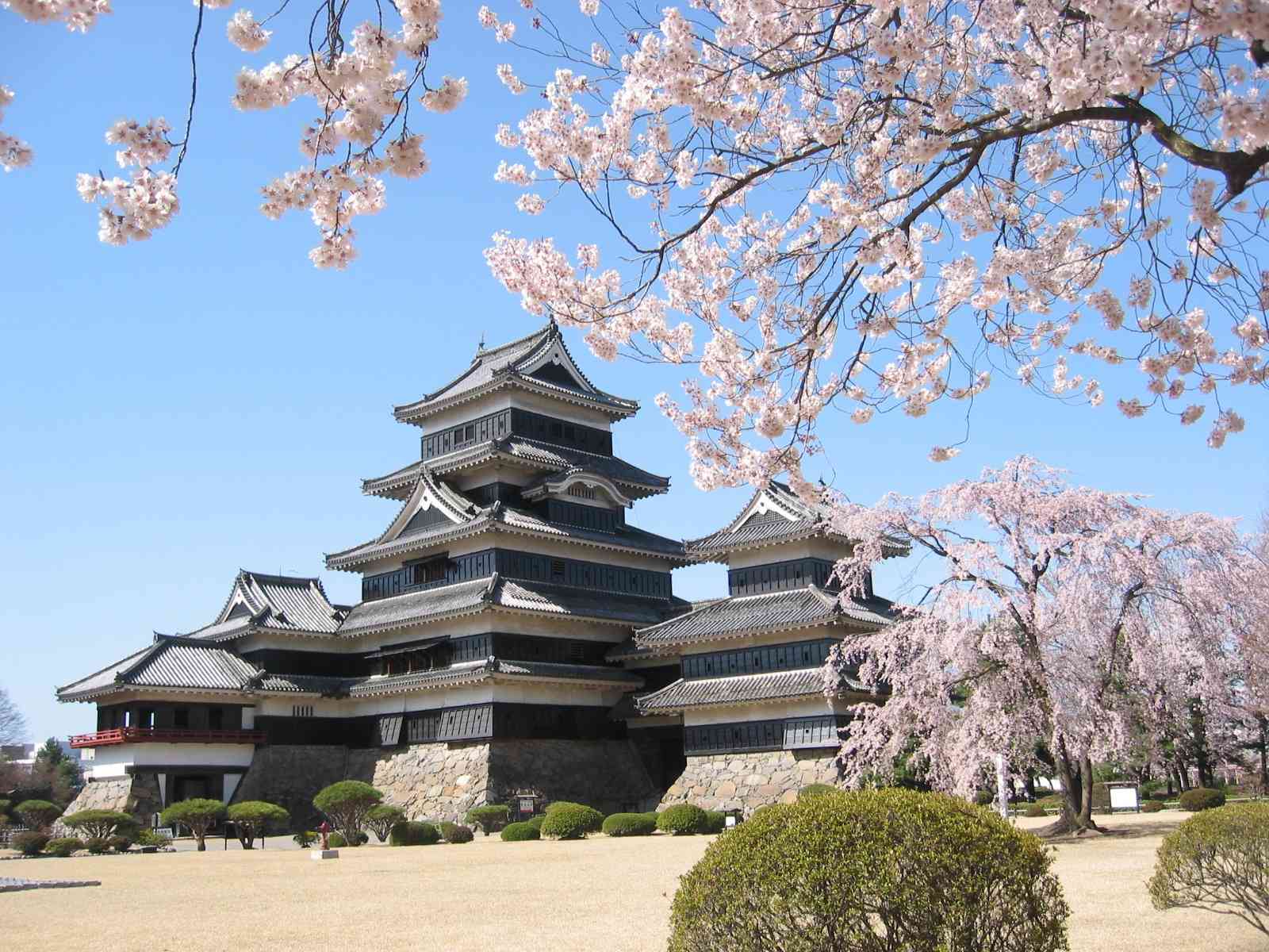 Tourism Matsumoto Castle