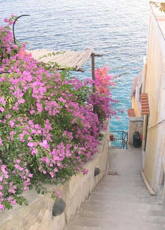 Positano lane