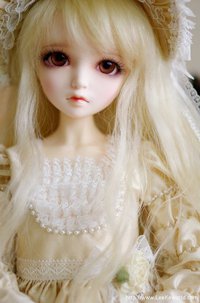 lovely barbie doll