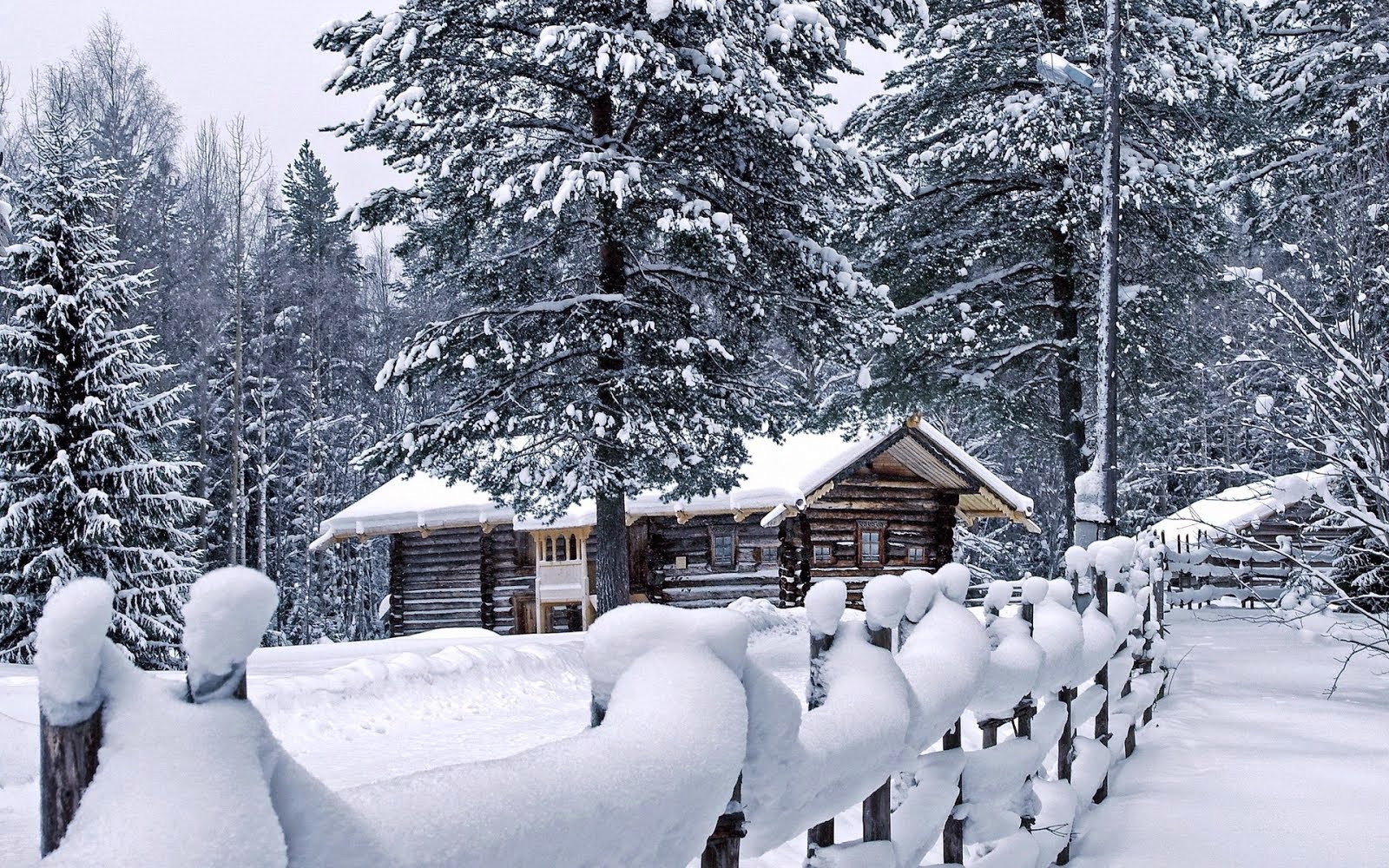 Snowy Cottage