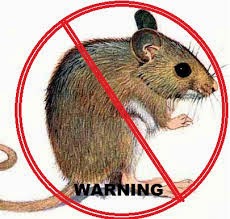 Pemberantas Tikus / Rodent Control