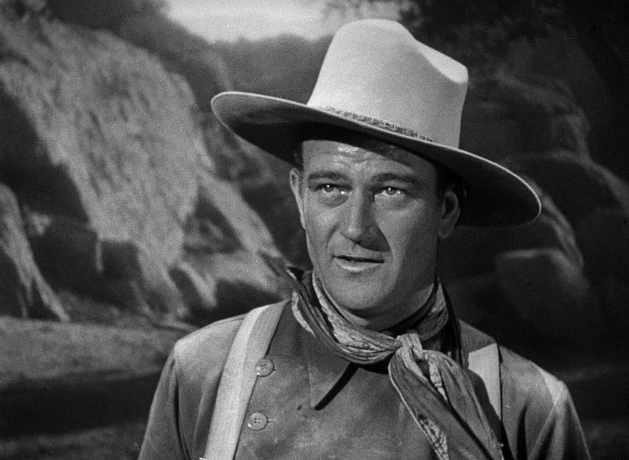 Western Legends 50 Movie Pack : John Wayne, Roy Rogers, Gene  Autry, Tex Ritter: Movies & TV