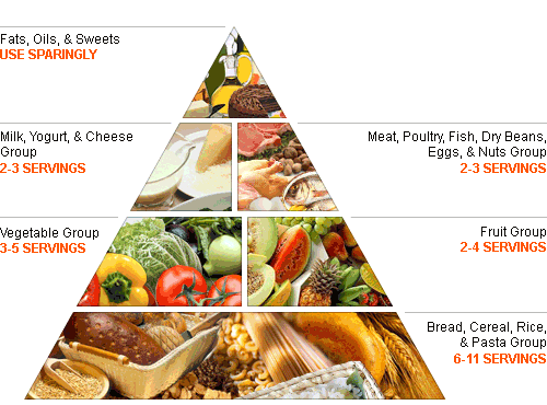 6 classes of nutrients