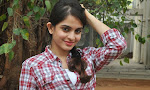 Sheena shahabadi New Glamorous Photos-thumbnail