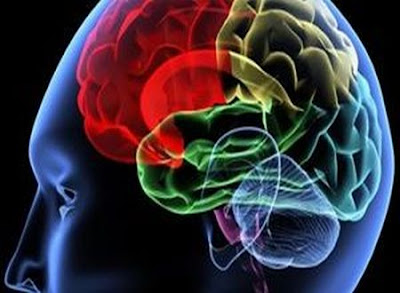 qKh84zmyDd Cara Optimalkan Memori Otak dengan 5 Langkah