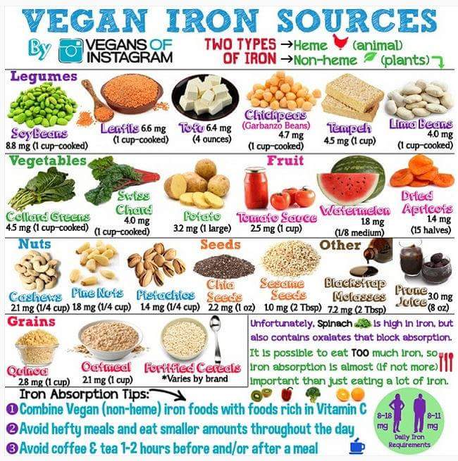 List Of Iron Rich Foods For Adults revizionlinked