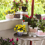 Flower Pots DIY