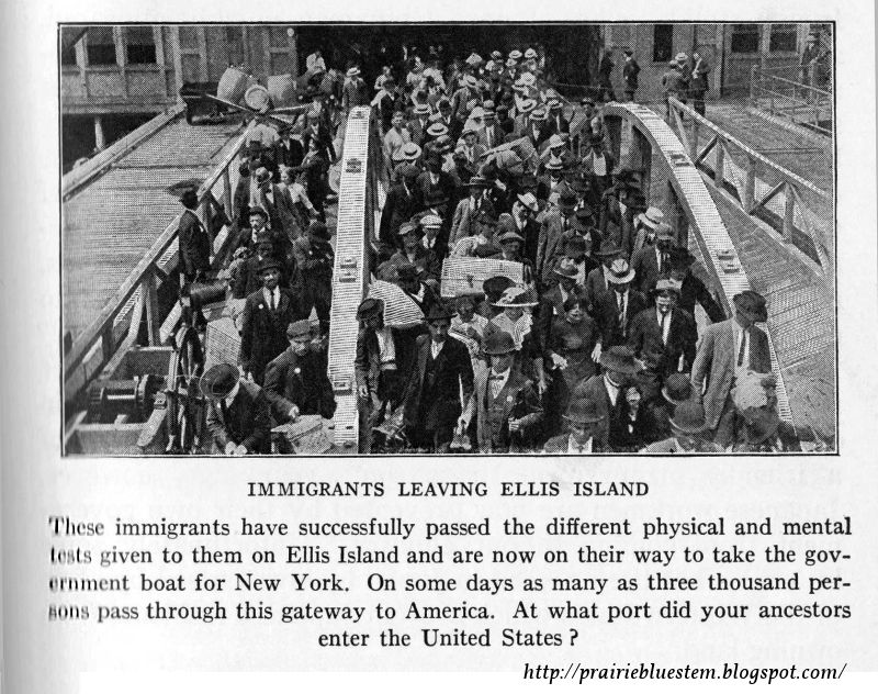 compare contrast german irish immigration america Today's volume of immigrants is in some ways a return to america's past in the united states germans made up the biggest immigrant group in 18 states and the district of columbia, while mexico accounted for the most immigrants in just three states (arizona. compare contrast german irish immigration america Today's volume of immigrants is in some ways a return to america's past in the united states germans made up the biggest immigrant group in 18 states and the district of columbia, while mexico accounted for the most immigrants in just three states (arizona.