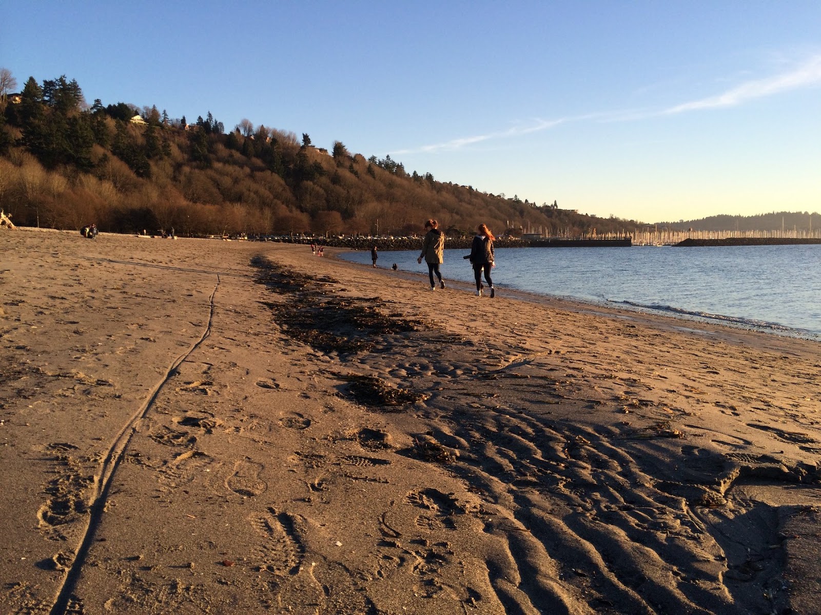 Gravel Beach Golden Gardens