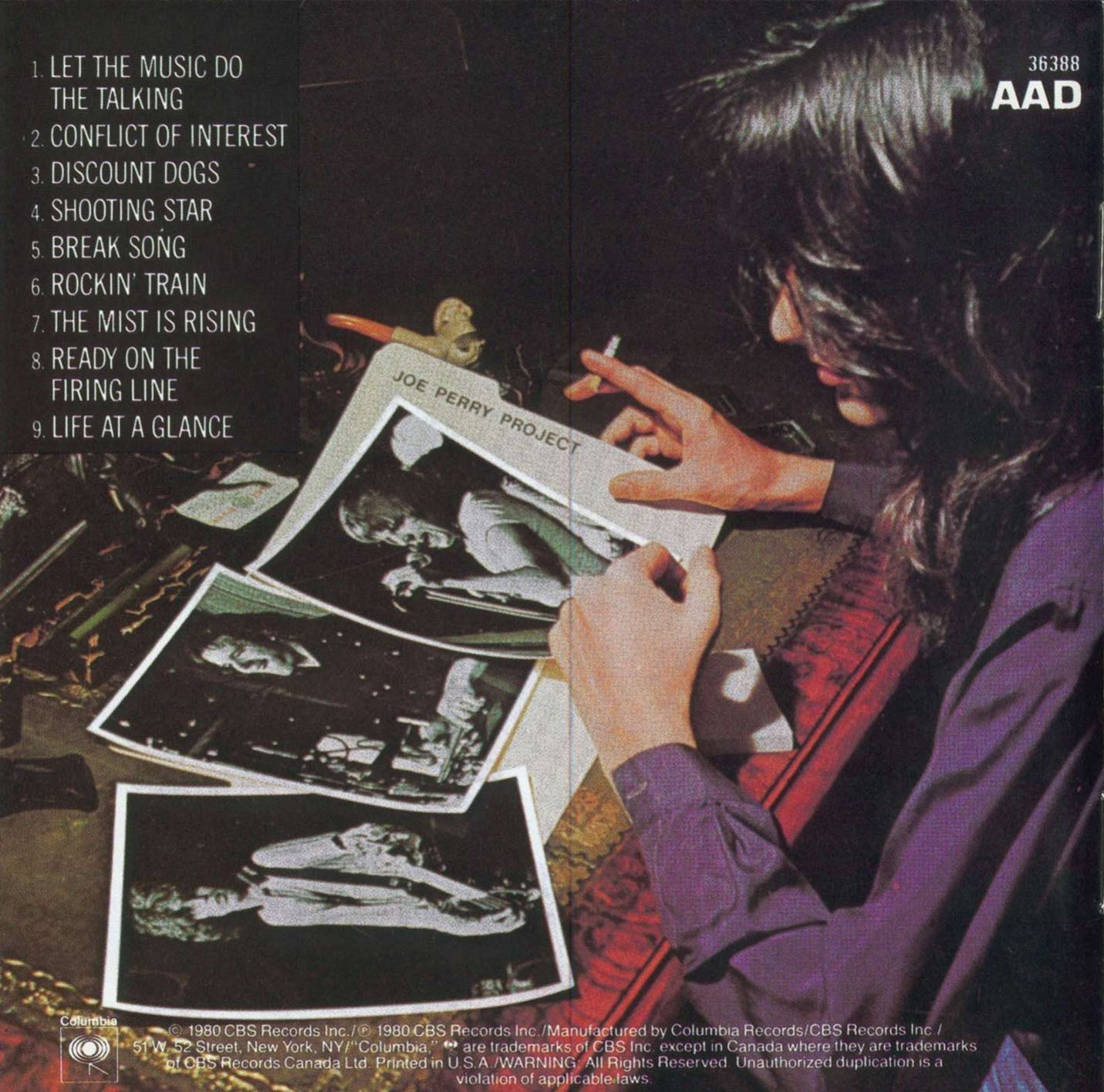 joe perry project joe perry project