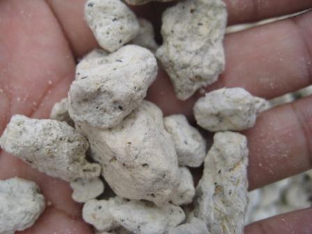 Ciri Ciri Batu Apung