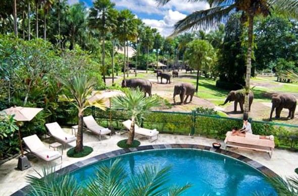 Exotic Places: Ubud Bali, Bali Vacations