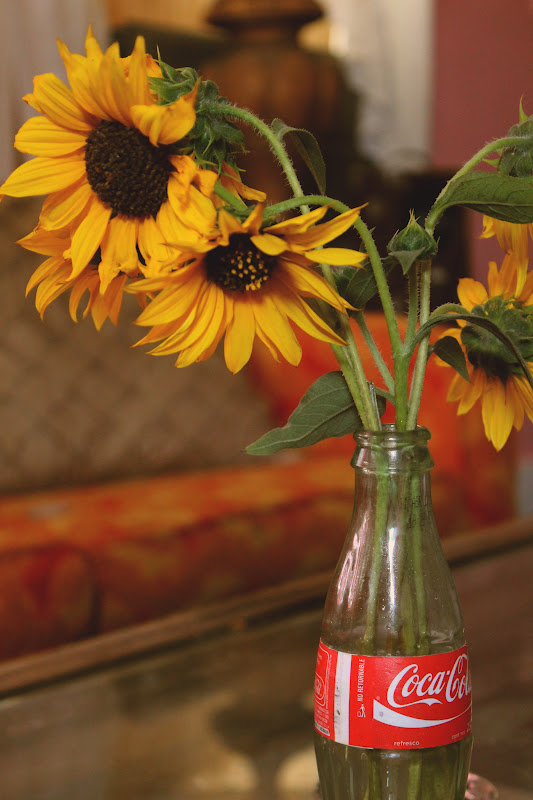Coke bottle as a vase for the beautiful sunflowers Coke bottle, Barn