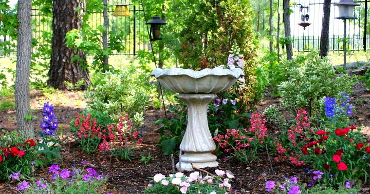 Home Is Where Heart Is... And Heart Is Where Garden Is..