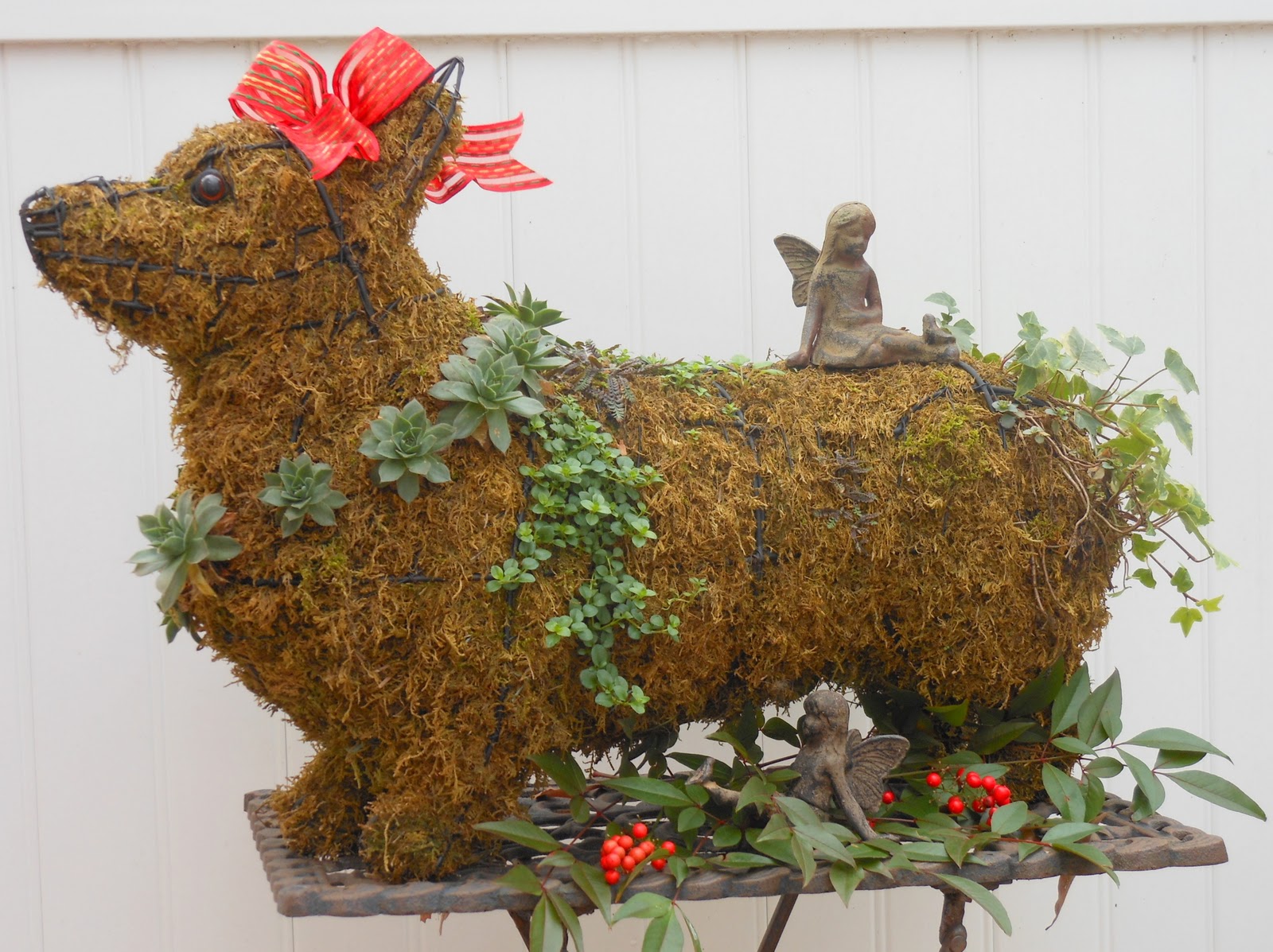 Corgis In My Garden: Corgi Topiary