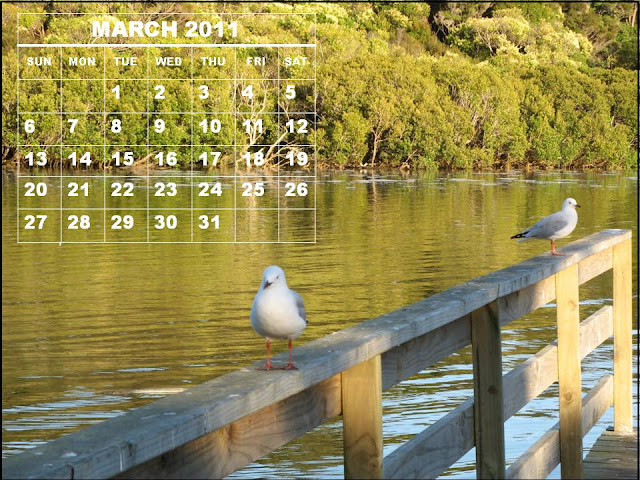 annual calendar 2011 printable. march 2011 calendar printable.