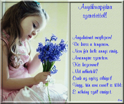 Kép