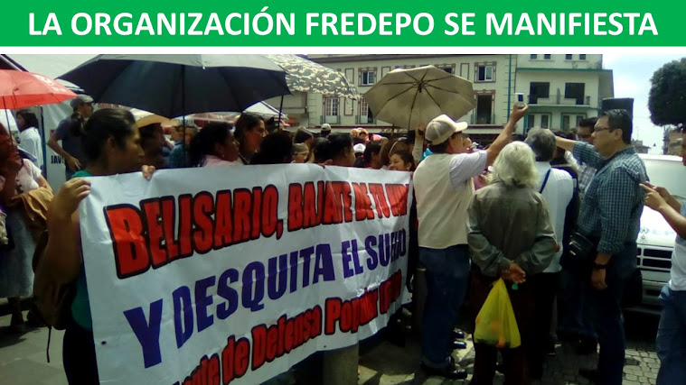 manifesteishion