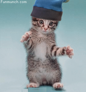 GAMBAR BERGERAK LUCU GAMBAR BERGERAK LUCU