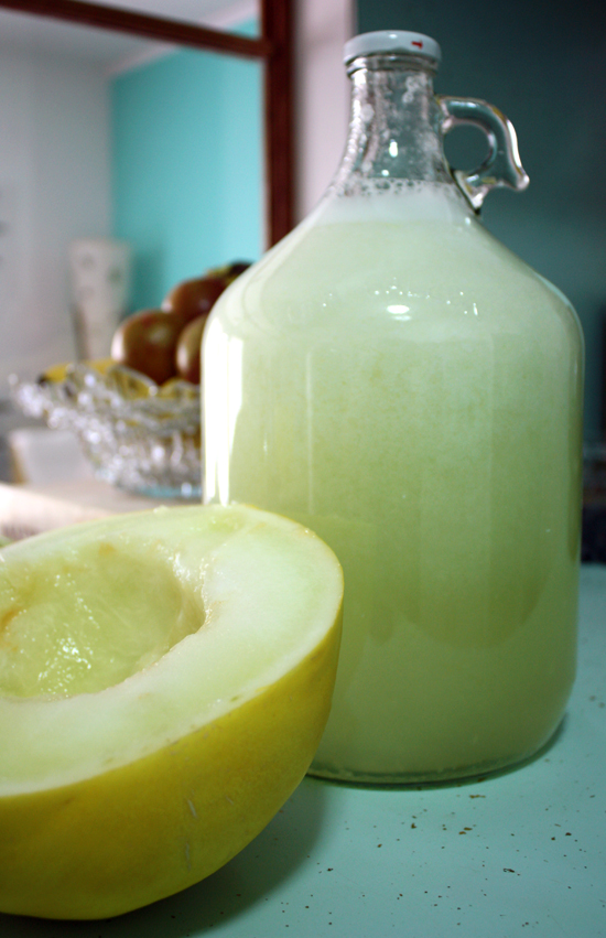 Honeydew Agua Fresca by Full and Content