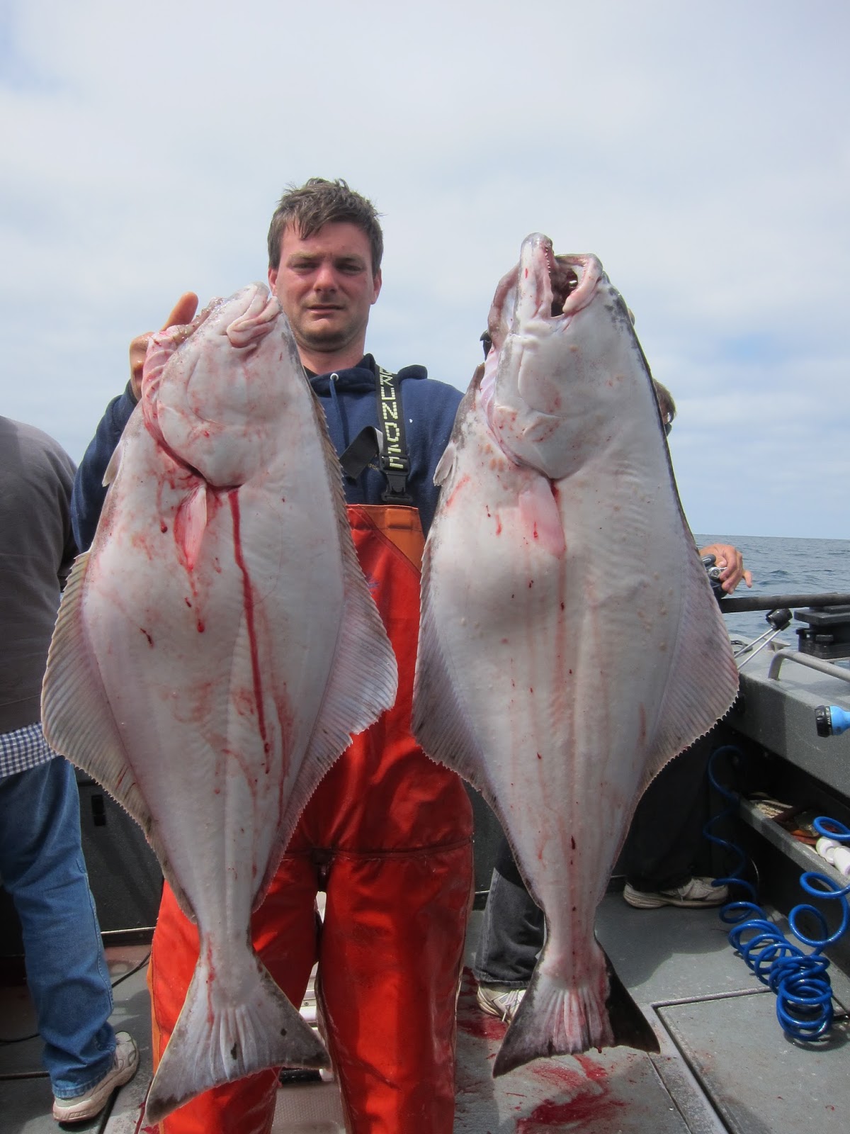 Todds Extreme Fishing ilwaco halibut, salmon & sable fish