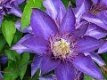 Awesome Tips To Resize And Edit Images On Blogger & Picasa Awesome Tips To Resize And Edit Images On Blogger & Picasa