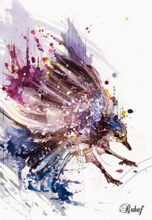 Rahaf Dk Albab ilustrações digitais e pinturas em aquarela mulheres aves Rahaf Dk Albab ilustrações digitais e pinturas em aquarela mulheres aves