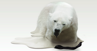 You are attempting to convince an audience that animal testing is morally wrong image