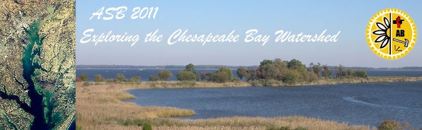 Chesapeake Bay-ASB 2011