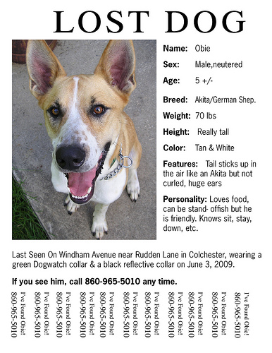 printable lost dog flyers
