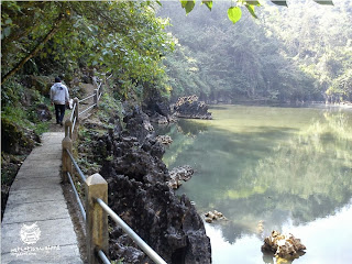 wisata alam tana toraja tana toraja, kolam alam limbong tana toraja