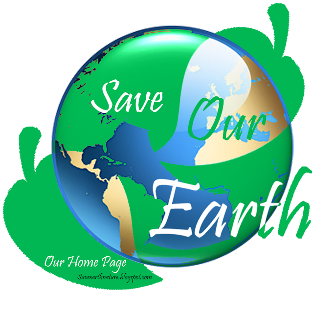 save the environment essays save the environment essays