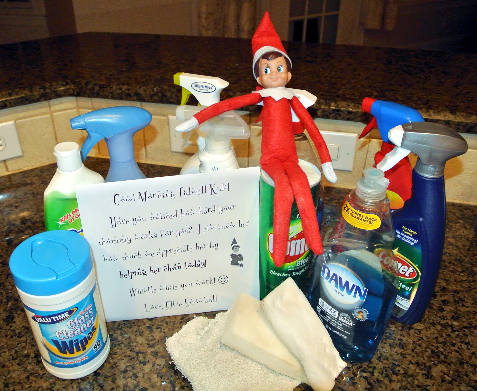 Everyday is a "Hollyday"! Elf on the Shelf