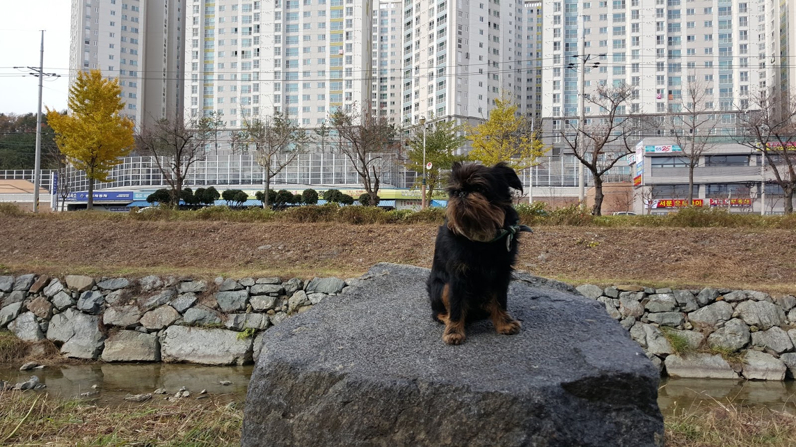 Dita i korea: trappa upp och trappa ner...