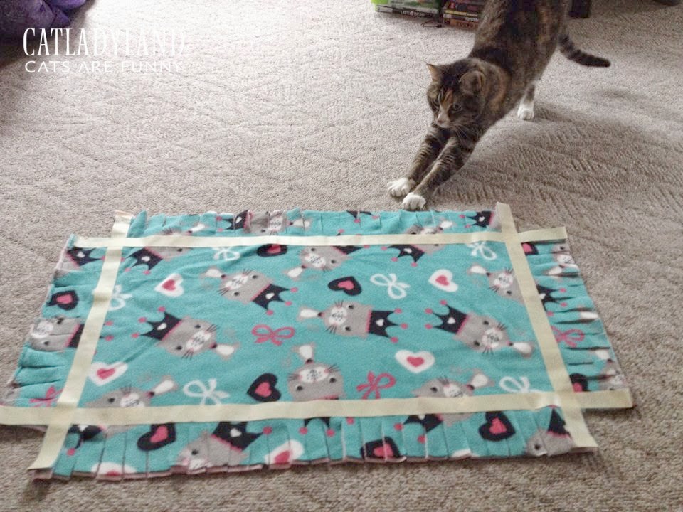 Catladyland Cats are Funny You Need to Make this Easy, NoSew Cat Bed