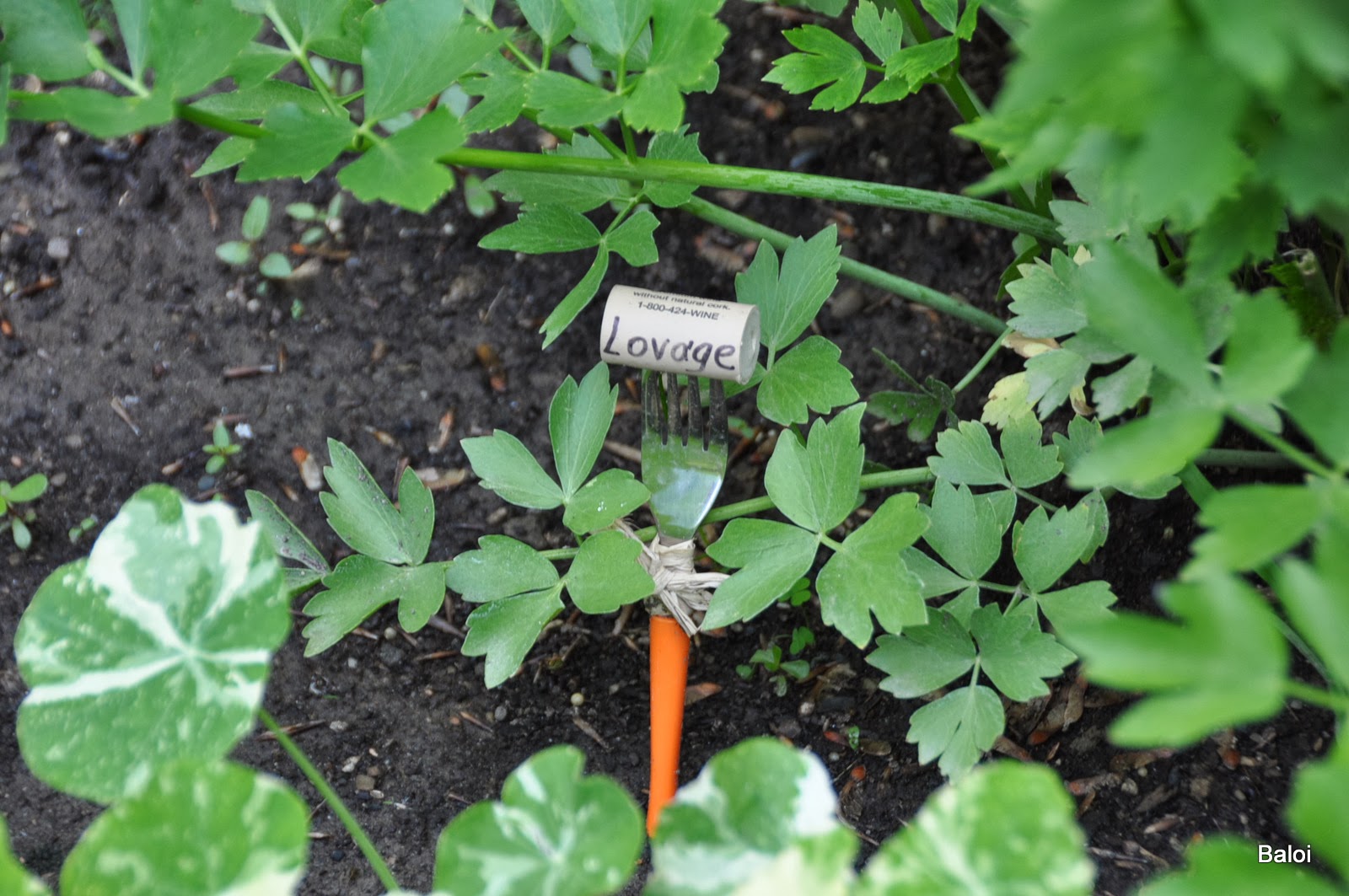 Gardeners with kids: The vegetable garden fence