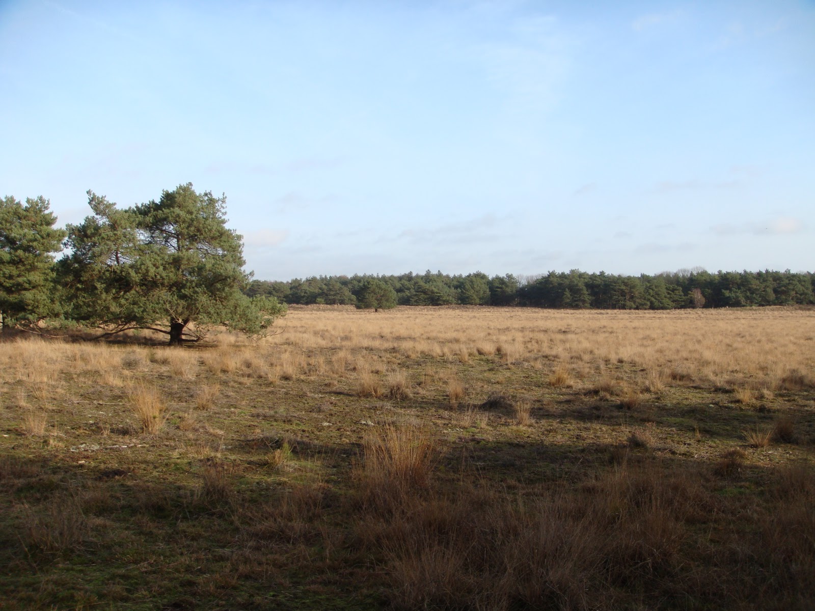 Iwannarun78: open trail klassement utrechtse heuvelrug