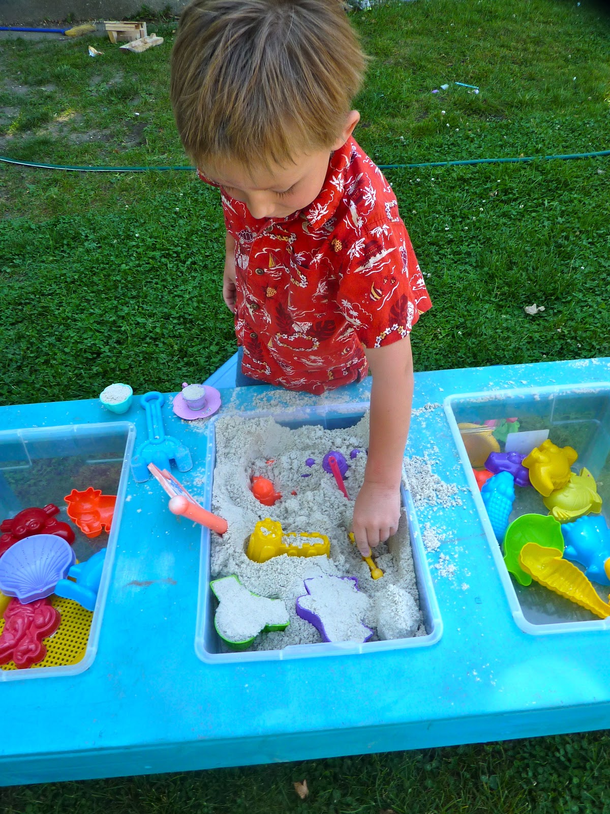 5 Fun Sensory Table Ideas